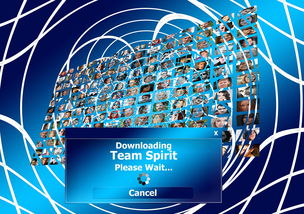 -决赛MVP背后的团队协作密码,总决赛mvp奖杯叫什么